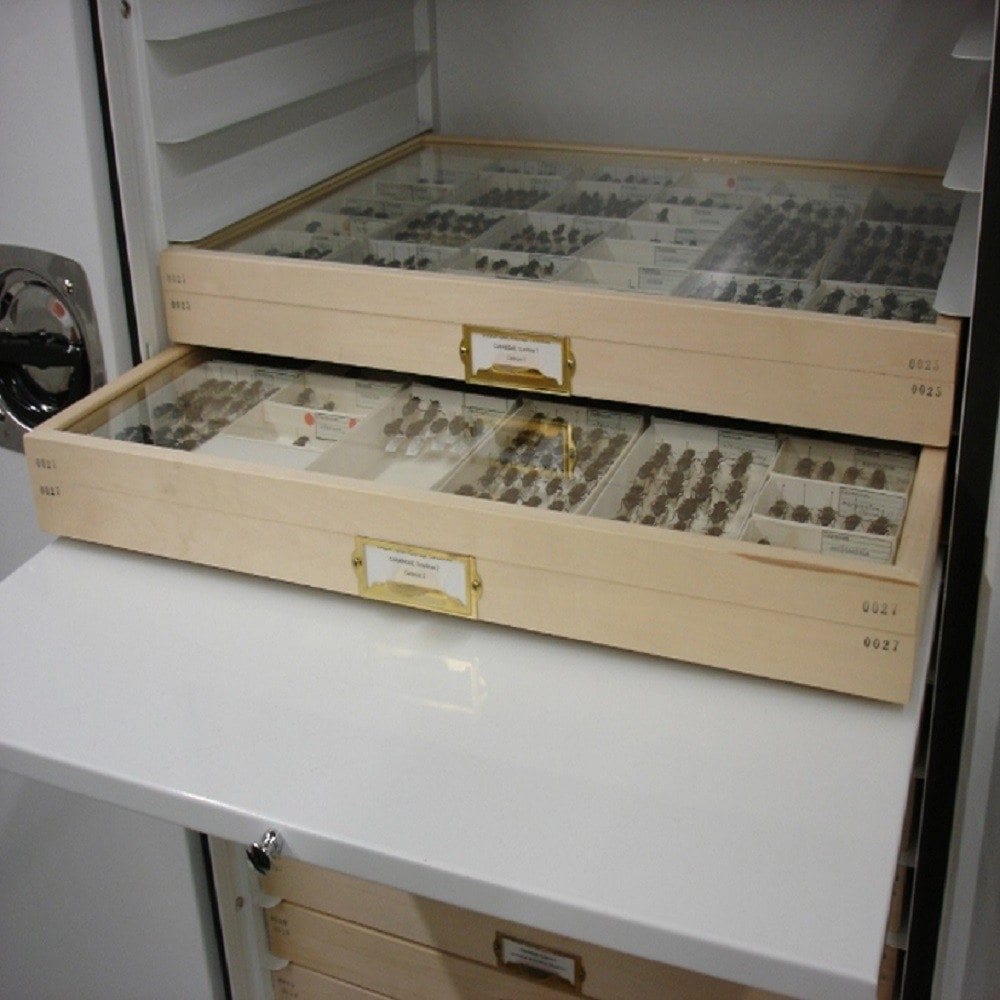 Artefact and Collections Storage