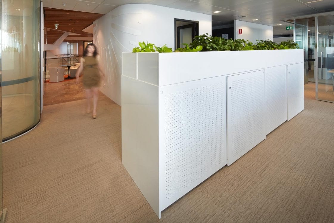 CSM Office - Sydney - Storage Solutions - Planter Boxes